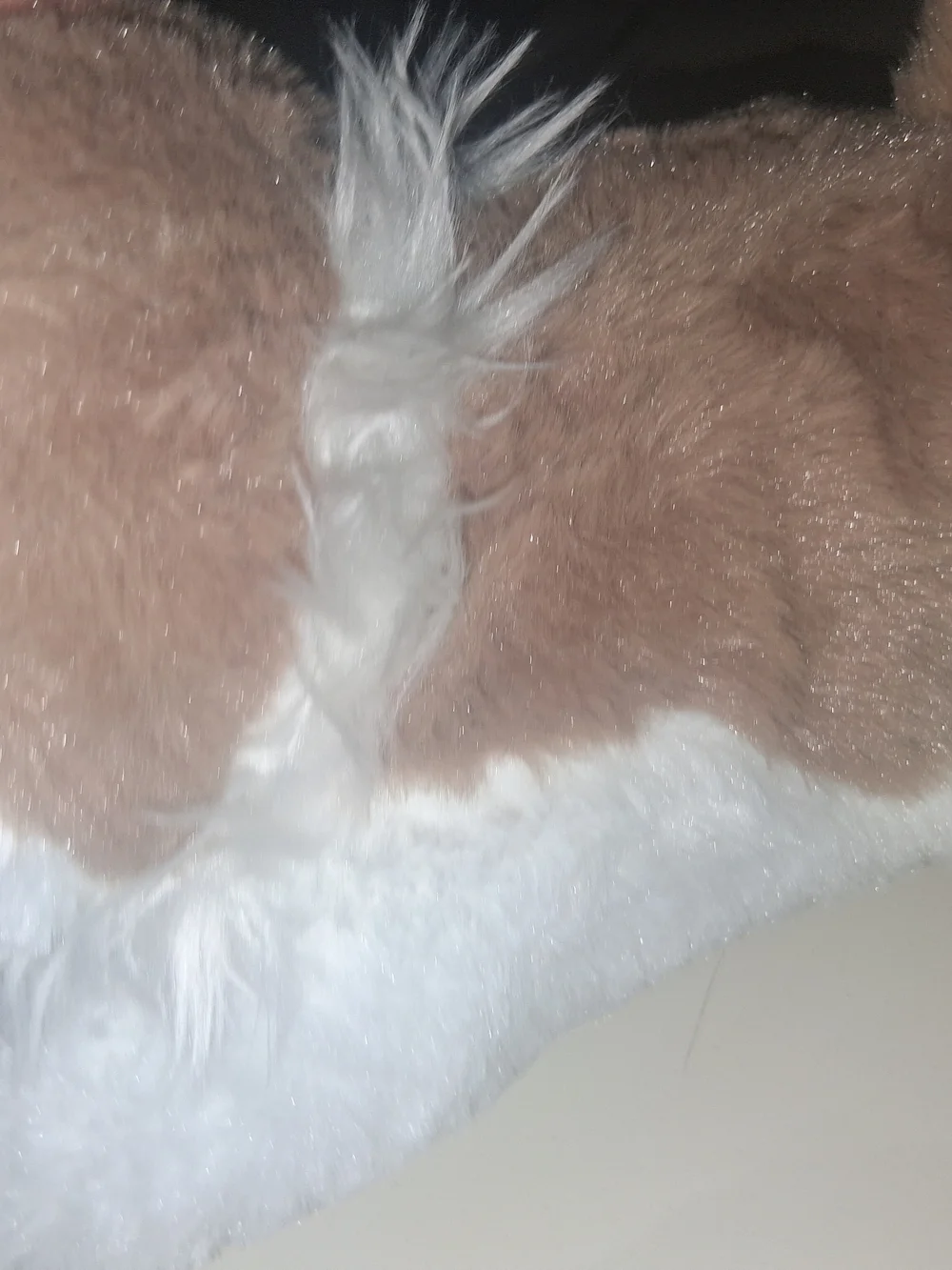 Plush Small Pet Toy - Brown and White Husky Plush